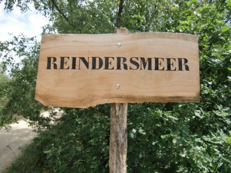 Bergen-Well NL : Maasdünen, Reindersmeer, in den 60 er Jahren des 20 Jh. war das Reindersmeer ein Sand- und Kiesabbaugebiet. Dieses wurde später renaturiert und seit 1999 Bestandteil des Nationalparks De Maasduinen.